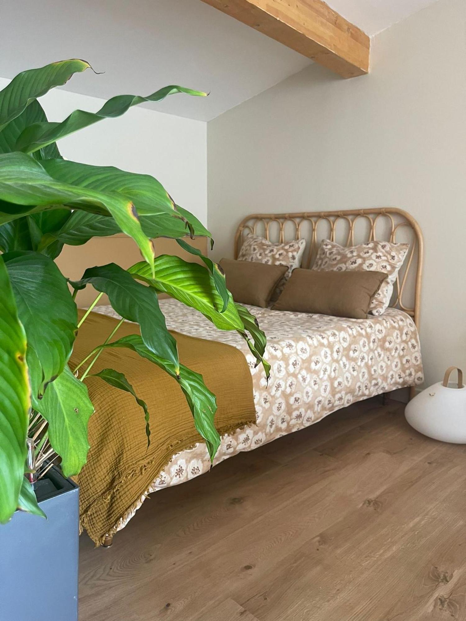 Studio Cosy Castanet-Tolosan Dış mekan fotoğraf
